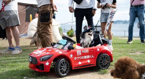 明石海峡大橋を背景に愛犬とランウェイ　神戸・舞子公園で初のドッグファッションショー9月開催