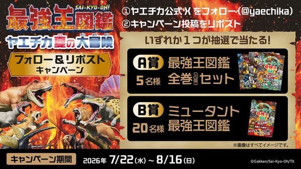 「最強王図鑑 ヤエチカ夏の大冒険」8月7日(金)からヤエチカで開催