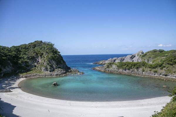 東京の離島 新島・式根島の郷土料理「たたき」と島焼酎の魅力を発信新宿『editor's fav るるぶキッチン』で期間限定メニューを提供