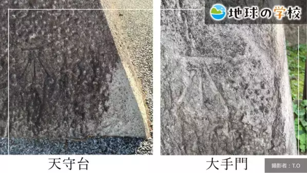 社会課題に向き合うメディア「地球の学校」の最新記事をご紹介　衛星データによって未来の防災・暮らしがどのようにかわるのかを探る記事と様々な視点で綴る編集室ブログ10件を公開