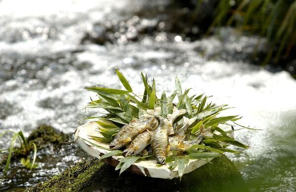 京都・湯の花温泉「すみや亀峰菴」、夏限定のおもてなし「旅館で“涼”を楽しむ夏の休日」を2026年8月末まで実施