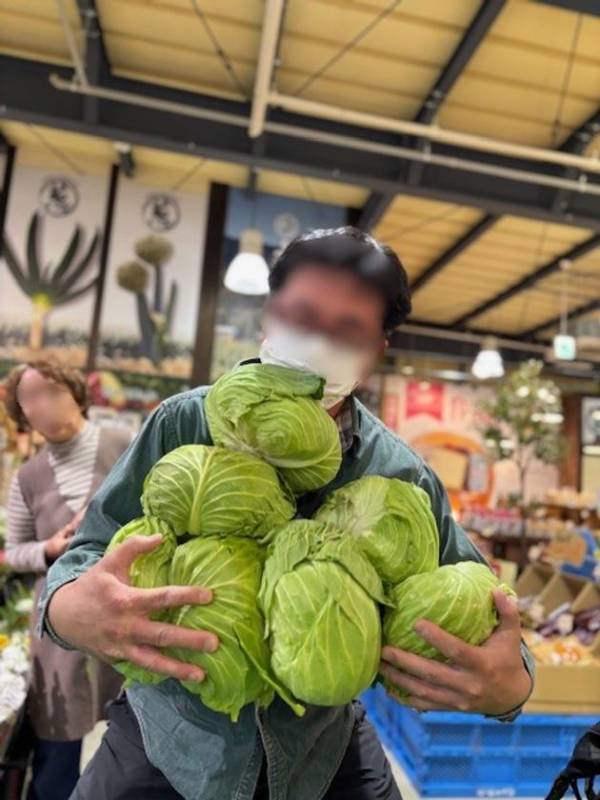 「幻のキャベツ」嬬恋キャベツ419が主役です！今年の夏は、キャベツだらけ　群馬県渋川市 上州・村の駅「キャベツパニック」開催！