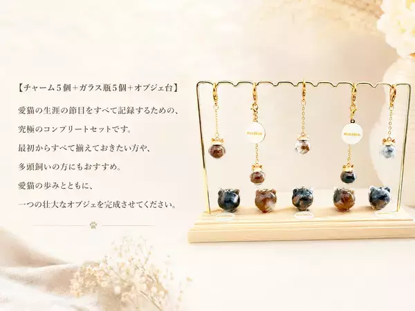 触れる温もり、かざせばあの姿。世界に一つ『ペット愛毛ケース』ねこビン発売！