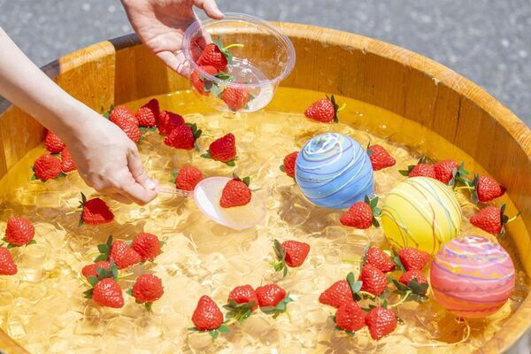 ＜いちご専門店の道の駅 いちごBonBon＞　新定番お土産スイーツ、厚さ約3cmの贅沢「ベリーバターサンド」を新発売！さらに8月は夏×いちごを楽しむ「サマーベリーフェスティバル」を開催！