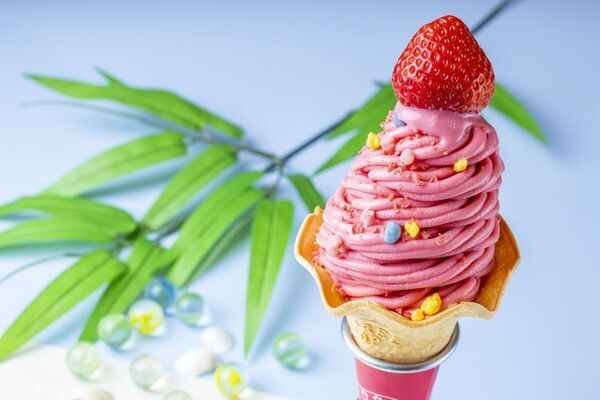 ＜いちご専門店の道の駅 いちごBonBon＞　新定番お土産スイーツ、厚さ約3cmの贅沢「ベリーバターサンド」を新発売！さらに8月は夏×いちごを楽しむ「サマーベリーフェスティバル」を開催！