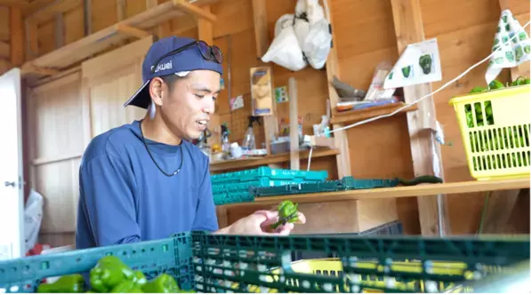 市民が飲食店を紹介するだけ　上越産農産物の販路を開く「ふるサポ上越」が2年目へ　初年度は7店舗と商談