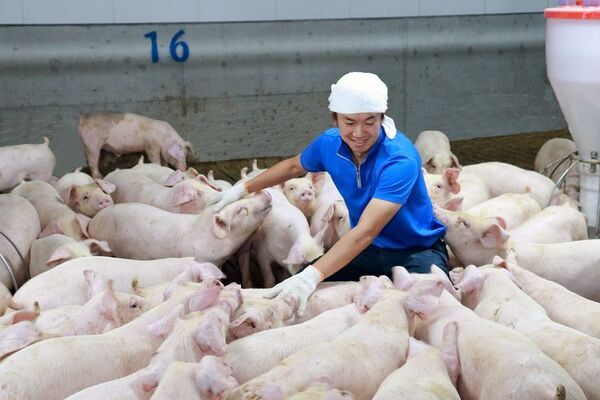 全国屈指の“豚肉王国”千葉・北総エリアで堪能できる絶品ポークグルメをご紹介
