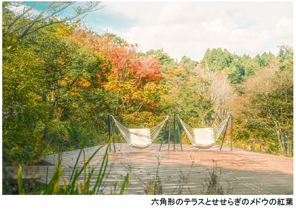 ROKKO森の音ミュージアムSIKIガーデンAutumn Season紅葉の見頃は10月下旬～11月下旬2026年8月29日（土）～11月30日（月）