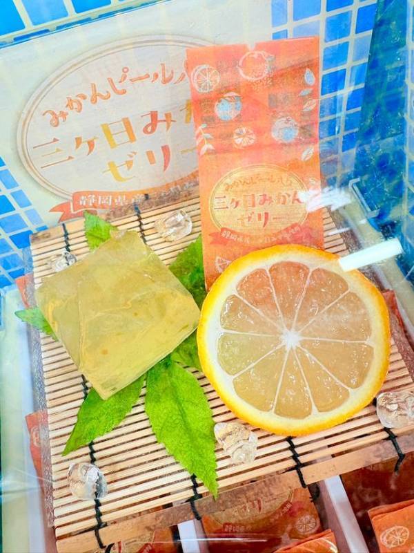 この夏、わくわくは新東名高速道路NEOPASA駿河湾沼津 下り線から　暑い季節にぴったりの商品を幅広いラインナップでご用意～「伊豆・村の駅」で出会う、夏だけのおいしさ～