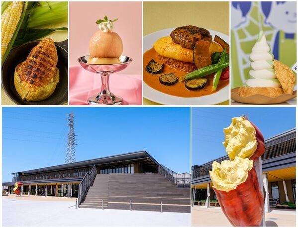 道の駅常総「HOT＆COOL祭り」を8月8日(土)～16日(日)に開催！水遊び・スイカ・縁日・抽選会など、お盆休みは家族みんなで“熱くて涼しい”夏を満喫！