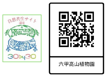 六甲高山植物園 市街地より一足早い秋の訪れ紅葉見頃 10月下旬～11月下旬「ひかりの森～夜の芸術散歩～」開催！