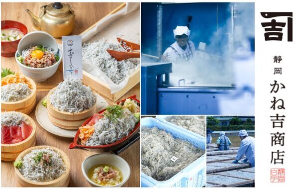 【静岡の海の恵み】磐田・福田漁港すぐ！しらすの魅力を五感で楽しむ海鮮丼店が8/6グランドオープン