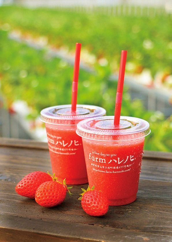 4府県の特色あふれるグルメを味わえる！「滋賀・京都・福井・大阪展」8月13日(木)から開催