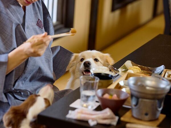 【愛犬と泊まれる古民家リトリート　赤城山 - 懐 - 】愛犬ファミリーの皆さまへ感謝の気持ちを込めて愛犬2頭まで宿泊料無料の「開業1周年プラン」を販売開始！