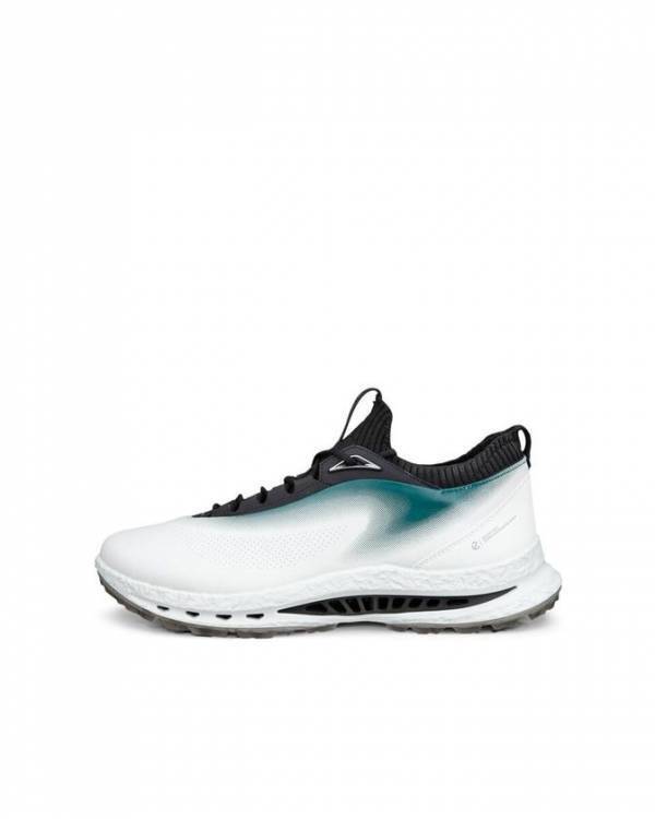 ECCO、プレミアムレザー×金属製BOA(R)搭載のゴルフシューズ「BIOM(R) C5 PREMIUM」を8月21日発売、税込59,400円　永井花奈プロら日本人3名も愛用するECCO GOLFの最高峰モデル