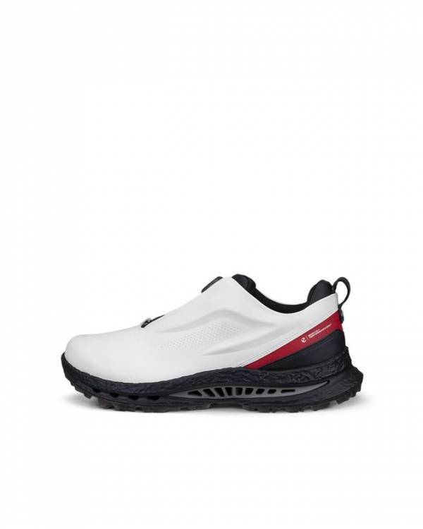 ECCO、プレミアムレザー×金属製BOA(R)搭載のゴルフシューズ「BIOM(R) C5 PREMIUM」を8月21日発売、税込59,400円　永井花奈プロら日本人3名も愛用するECCO GOLFの最高峰モデル
