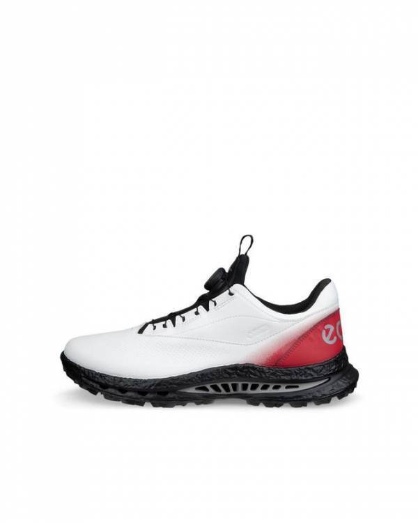 ECCO、プレミアムレザー×金属製BOA(R)搭載のゴルフシューズ「BIOM(R) C5 PREMIUM」を8月21日発売、税込59,400円　永井花奈プロら日本人3名も愛用するECCO GOLFの最高峰モデル