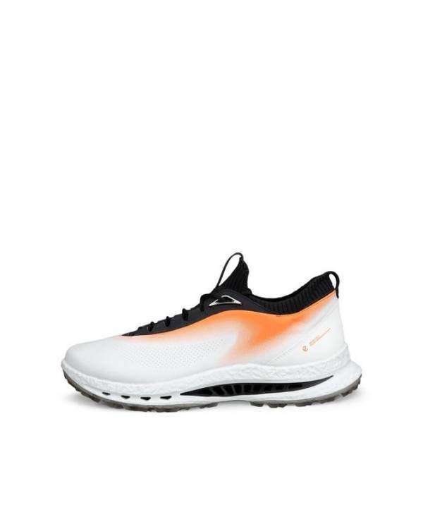 ECCO、プレミアムレザー×金属製BOA(R)搭載のゴルフシューズ「BIOM(R) C5 PREMIUM」を8月21日発売、税込59,400円　永井花奈プロら日本人3名も愛用するECCO GOLFの最高峰モデル