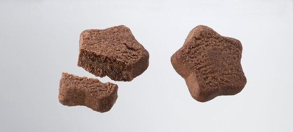 チョコビ発売20周年記念『オトナのチョコビ ショコラ味』登場！