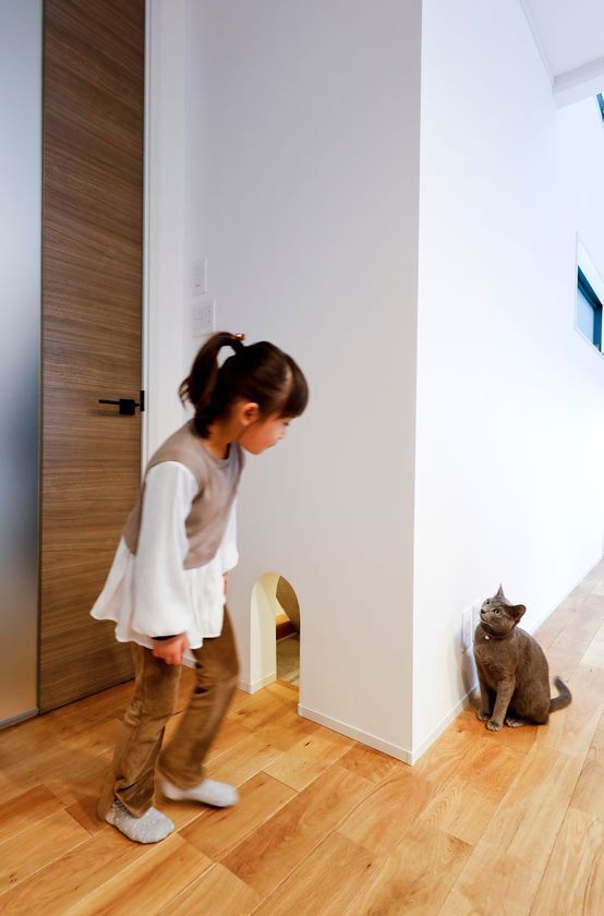 しっくいの壁は、猫にもやさしい。野村工務店がペットと暮らす住まいの知見を公開