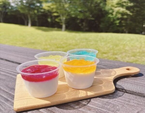 東名足柄サービスエリア上り富士山ファーム　この夏新登場！！「夏季限定！彩りパンナコッタ4種」