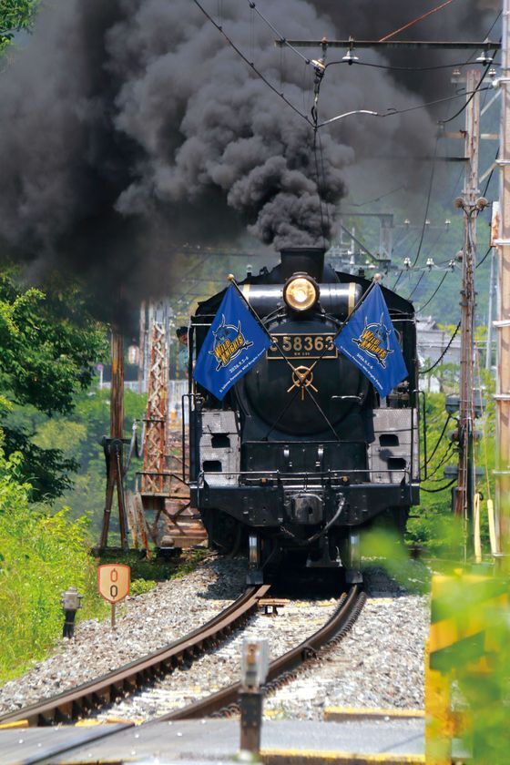 ワイルドナイツと秩父鉄道SLが4年ぶりのコラボ「SL埼玉パナソニックワイルドナイツエクスプレス」を2026年9月5日(土)・6日(日)に運行