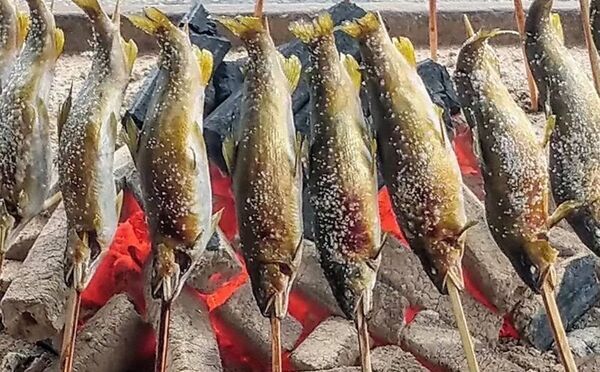 【海老名駅直結】ハイボールと全国グルメ34店舗が競演　海老名中央公園で9月25日から3日間開催