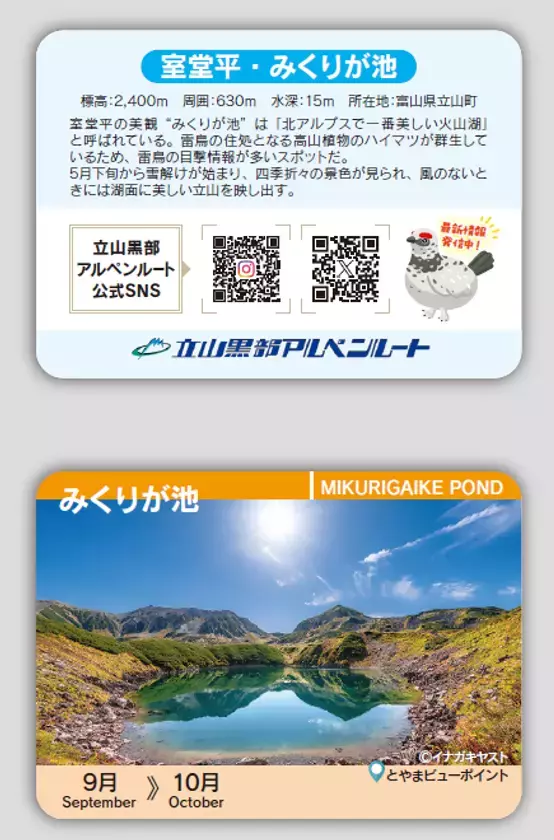 立山黒部アルペンルート、9月から始まる紅葉シーズンをお得に楽しめる「秋旅早割WEBきっぷ」好評販売中！秋旅グルメフェアも9月1日(火)よりスタート