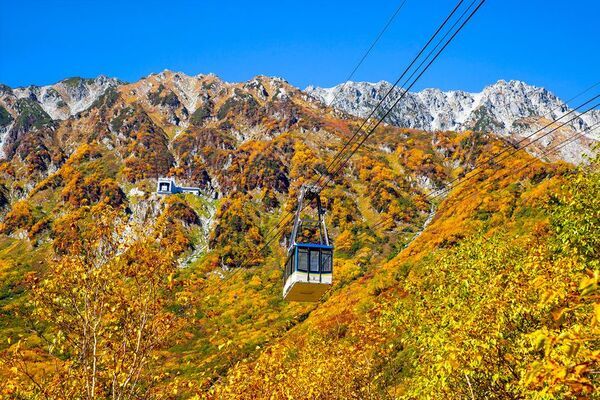 立山黒部アルペンルート、9月から始まる紅葉シーズンをお得に楽しめる「秋旅早割WEBきっぷ」好評販売中！秋旅グルメフェアも9月1日(火)よりスタート