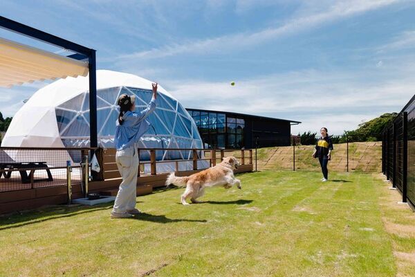 千葉県・いすみのグランピング施設「SOLAS」、ペット同伴ドーム全3室で猫・うさぎ・小動物も宿泊可能に　犬限定から多様なペットへ対象を拡大