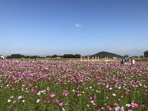 「飛鳥・藤原の宮都」世界遺産登録記念ツアー「キトラ古墳国宝壁画　飛鳥・藤原宮跡めぐり」発売