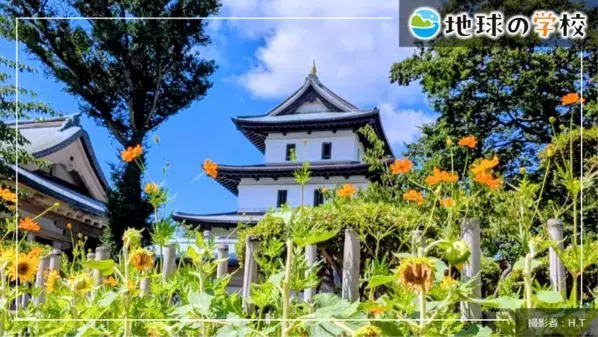 社会課題に向き合うメディア「地球の学校」8月の記事を一挙ご紹介　魚と海の変化を考える「学び記事」と、様々な視点で綴る「編集室ブログ」を公開