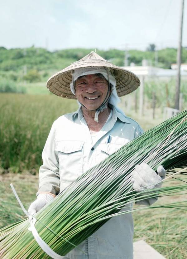 200年前の沖縄の知恵を、現代人の「休息」へ　希少な沖縄ビーグと自然素材に包まれて眠る、新客室「ミ森 -MIMORI-」誕生