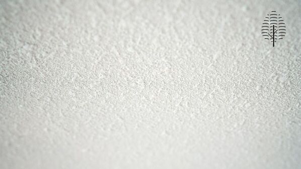 200年前の沖縄の知恵を、現代人の「休息」へ　希少な沖縄ビーグと自然素材に包まれて眠る、新客室「ミ森 -MIMORI-」誕生