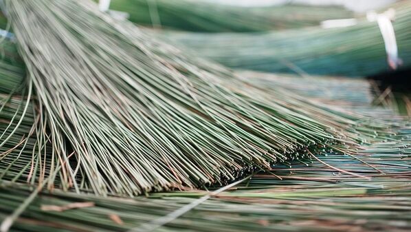 200年前の沖縄の知恵を、現代人の「休息」へ　希少な沖縄ビーグと自然素材に包まれて眠る、新客室「ミ森 -MIMORI-」誕生