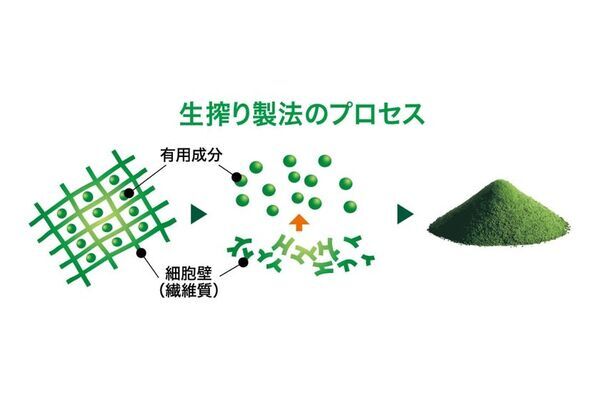 植物性乳酸菌100億個を加え「生搾り青汁」が9月1日リニューアル発売　大分県産有機大麦若葉と6種類の国産野菜を生搾り　さらにスッキリ飲みやすく