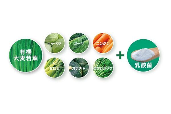 植物性乳酸菌100億個を加え「生搾り青汁」が9月1日リニューアル発売　大分県産有機大麦若葉と6種類の国産野菜を生搾り　さらにスッキリ飲みやすく