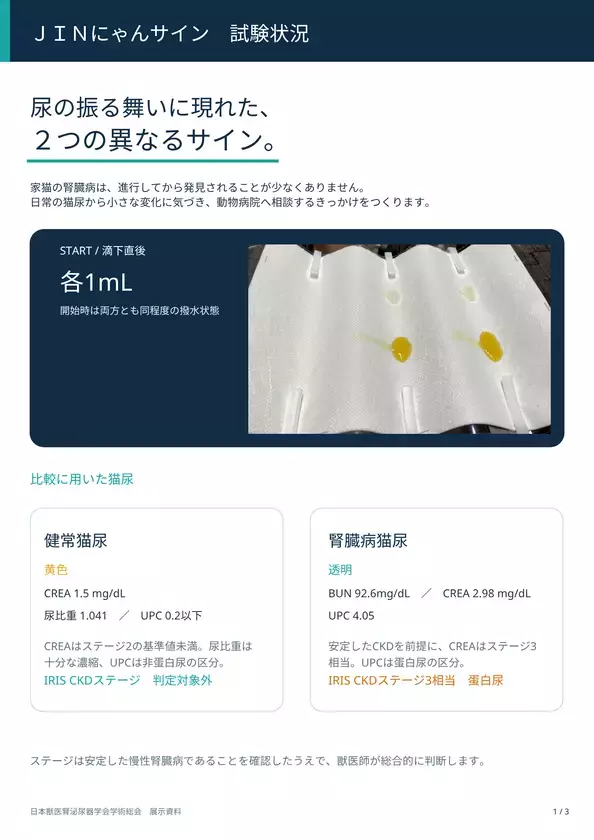 猫の尿から「沈黙の臓器」腎臓の変化に気づく新たな研究を日本獣医腎泌尿器学会にて公開！