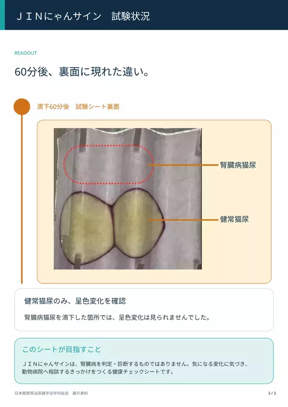 猫の尿から「沈黙の臓器」腎臓の変化に気づく新たな研究を日本獣医腎泌尿器学会にて公開！