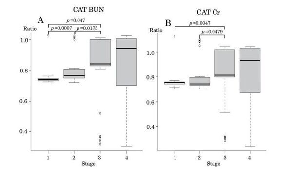 猫の尿から「沈黙の臓器」腎臓の変化に気づく新たな研究を日本獣医腎泌尿器学会にて公開！
