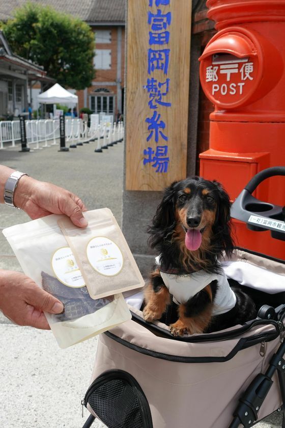 ペット同伴入場を開始してから3年5か月で、ペット同伴入場受付の累計数が『5,555(GO！GO！GO！GO！)匹目』に到達！
