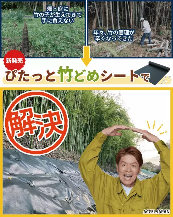 「毎年切っても生えてくる…」を解消！上から敷くだけで竹害を止める「ぴたっと竹どめシート」を発売