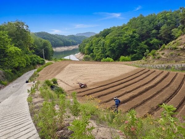 【韓国の健康文化と自然の恵みを巡る旅】韓国・安東の体験型ヒーリングガーデン「陶山秘苑」10月1日グランドオープン11月3日より、少人数限定のプレミアムグループツアーおよび開苑記念イベントの予約受付を開始