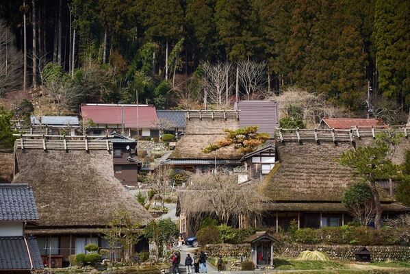 京都・美山「かやぶきの里」で、地域文化を一年かけて体験する少人数制の年間プログラム「カヤ・キャン美山ぷらす2026」参加者募集