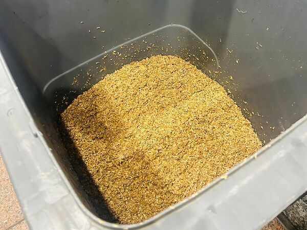 アグリ王、ビールでイチゴが育つ！？新たな資源循環を実現