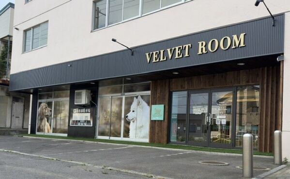 ≪東日本初≫函館に中・大型犬専門トリミングサロン「VELVET ROOM」が9/9オープン！海外発「Jirpet」製設備を日本で初導入