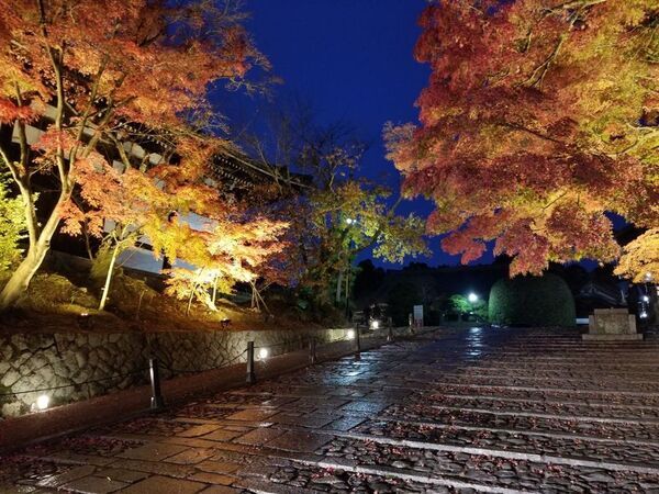 通常非公開　京都・くろ谷 金戒光明寺　秋の特別拝観　2026年11月13日(金)～12月6日(日)　開催