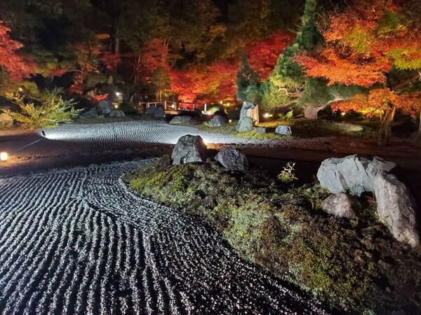 通常非公開　京都・くろ谷 金戒光明寺　秋の特別拝観　2026年11月13日(金)～12月6日(日)　開催