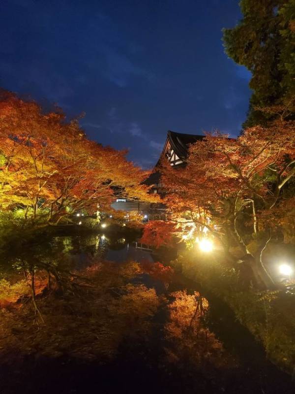 通常非公開　京都・くろ谷 金戒光明寺　秋の特別拝観　2026年11月13日(金)～12月6日(日)　開催