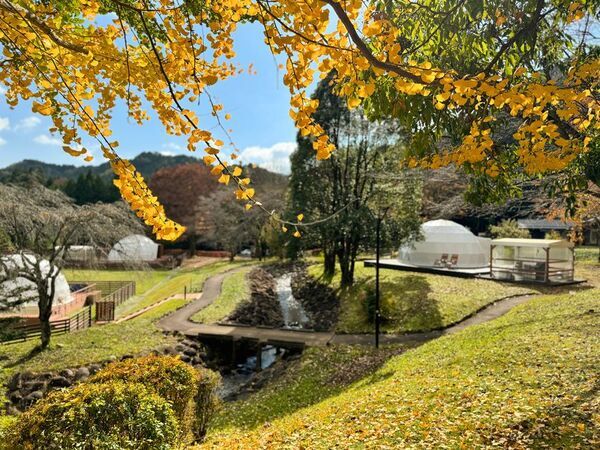 世界遺産「日光の社寺」にほど近い日光で秋のグランピング「秋の紅葉BBQプラン」を10月1日より期間限定で提供